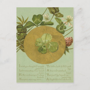 Postale Carte vintage de la Saint-Patrick à quatre feuille