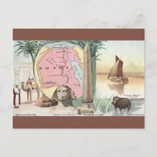 Postale Carte vintage de l'Égypte (Devant)