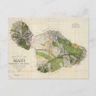 Postale Carte vintage de l'île de Maui (1906)