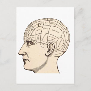 Postale Carte vintage du cerveau d'anatomie