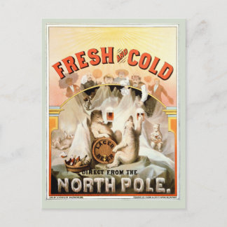 Postale Carte vintage, ours blancs de bière blonde, Pôle