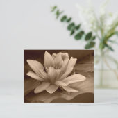 Postale Carte Water Lilly (Debout devant)