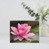 Postale Carte Water Lilly (Debout devant)
