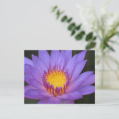 Postale Carte Water Lily (Debout devant)