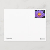 Postale Carte Water Lily (Dos)