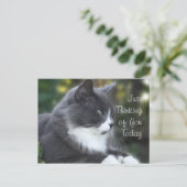 Postale Cat Penser de Vous carte ou toute occasion (Debout devant)