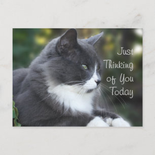 Postale Cat Penser de Vous carte ou toute occasion