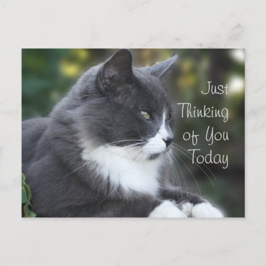 Postale Cat Penser de Vous carte ou toute occasion (Devant)