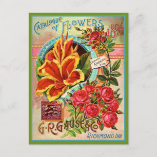 Postale Catalogue Fleur vintage Richmond Indiana Carte Pos