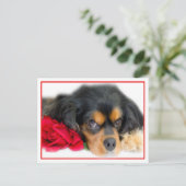 Postale Cavalier King Charles Spaniel Avec Une Carte Posta (Debout devant)