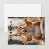 Postale "Ce n'est pas lundi" carte personnalisée Squirrel  (Devant / Derrière)