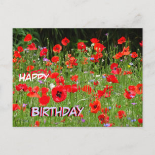 Postale Champ de Coquelicots Rouges Carte d'anniversaire J