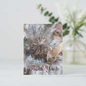 Postale Chardon d'hiver - Carte Merci (Debout devant)