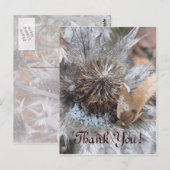 Postale Chardon d'hiver - Carte Merci (Devant / Derrière)