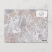 Postale Chardon d'hiver - Carte Merci (Dos)