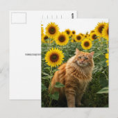 Postale Chat au gingembre mignon dans Sunflower Carte post (Devant / Derrière)