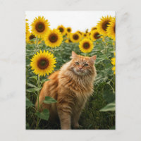 Chat au gingembre mignon dans Sunflower Carte post