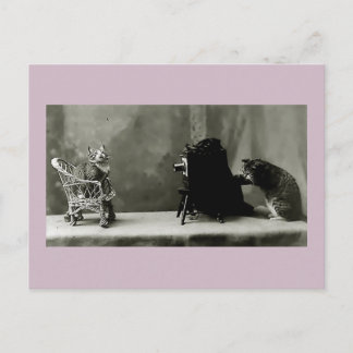 Postale chats amusants chats vintages photo chats carte fu