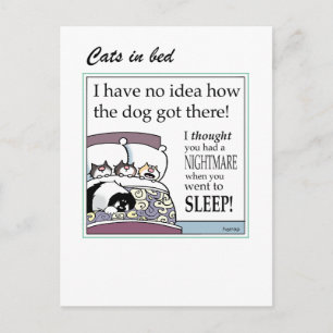 Postale Chats en carte de lit