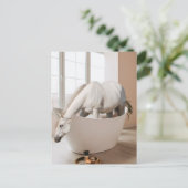 Postale Cheval Baignoire Art de salle de bain Carte postal (Debout devant)