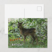 Postale Chevreuil mignon en forêt. Carte d'anniversaire (Devant / Derrière)