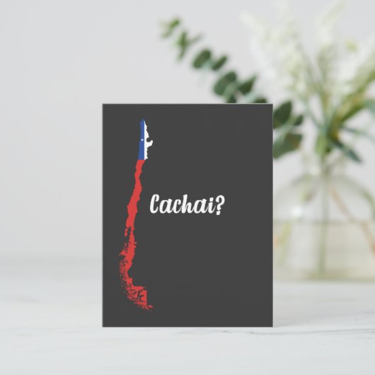 Postale Chili Cachai Amérique du Sud Carte Drapeau chilien (Debout devant)
