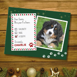 Postale Chiot Cher Père Noël Green Christmas Carte de voeu