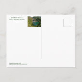 POSTALE CHUTES DE PLANCHE, HILO, HAWAII, GRANDE ÎLE CARTE  (Dos)