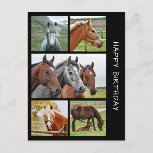Postale Cinq cheval photo collage d'anniversaire carte pos