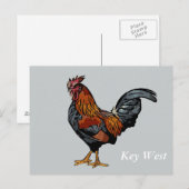 Postale Clé de coq gris West Carte de poste (Devant / Derrière)