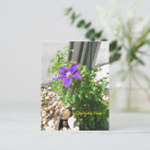 Postale Clematis vigne violet Fleurs Spiegeland Carte post (Debout devant)