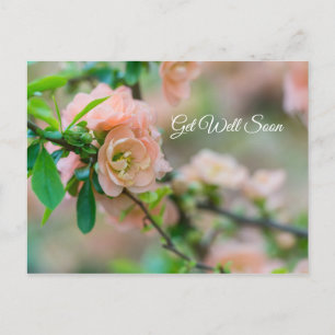Postale Cognassier à fleurs de pêcher Carte de vœux de rét