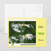 Postale Collage de marguerites blanches Carte de vœux de r (Devant / Derrière)