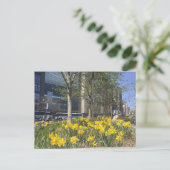 Postale Columbus Circle Daffodils NYC Springtime Carte pos (Debout devant)
