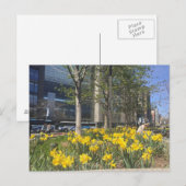 Postale Columbus Circle Daffodils NYC Springtime Carte pos (Devant / Derrière)