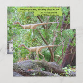 Postale Compsognathus - Dinosaure - Carte d'apprentissage (Devant / Derrière)