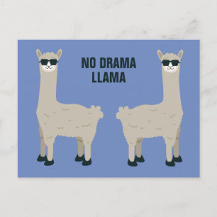 Postale Cool Llama personnalisé texte et couleur carte pos