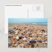 Postale Coquillages sur la carte de poste de plage (Devant / Derrière)