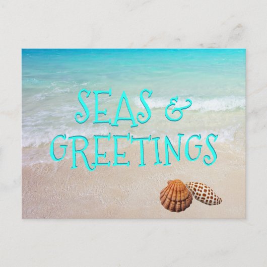 Postale Coquilles de plage Mers et salutations Carte de No (Devant)
