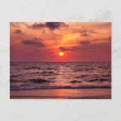 Postale Coucher de soleil tropical Naples, Floride Carte p (Devant)