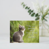 Postale Cute Kitten Élémentaire Étudiants Bienvenue Carte  (Debout devant)