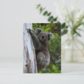 Postale Cute Koala escalade un arbre Australie Carte posta (Debout devant)