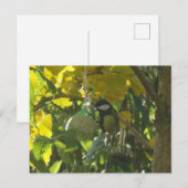 Postale Cute Little Mating Bird do-it-yourself Carte posta (Devant / Derrière)