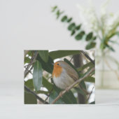 Postale Cute Robin & Feuilles verts do-it-yourself carte p (Debout devant)