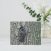 Postale Cute Starling avec Youngling do-it-yourself carte  (Debout devant)