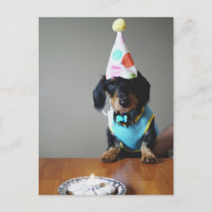 Postale Dachshund Dog Carte d'anniversaire