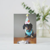 Postale Dachshund Dog Carte d'anniversaire (Debout devant)