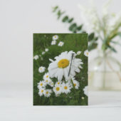 Postale Daisers Fermer & Damselfly do-it-yourself carte po (Debout devant)