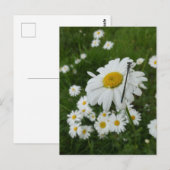 Postale Daisers Fermer & Damselfly do-it-yourself carte po (Devant / Derrière)