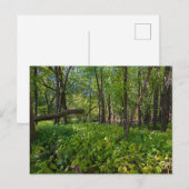 Postale dans la forêt à fort snelling state park carte pos (Devant / Derrière)